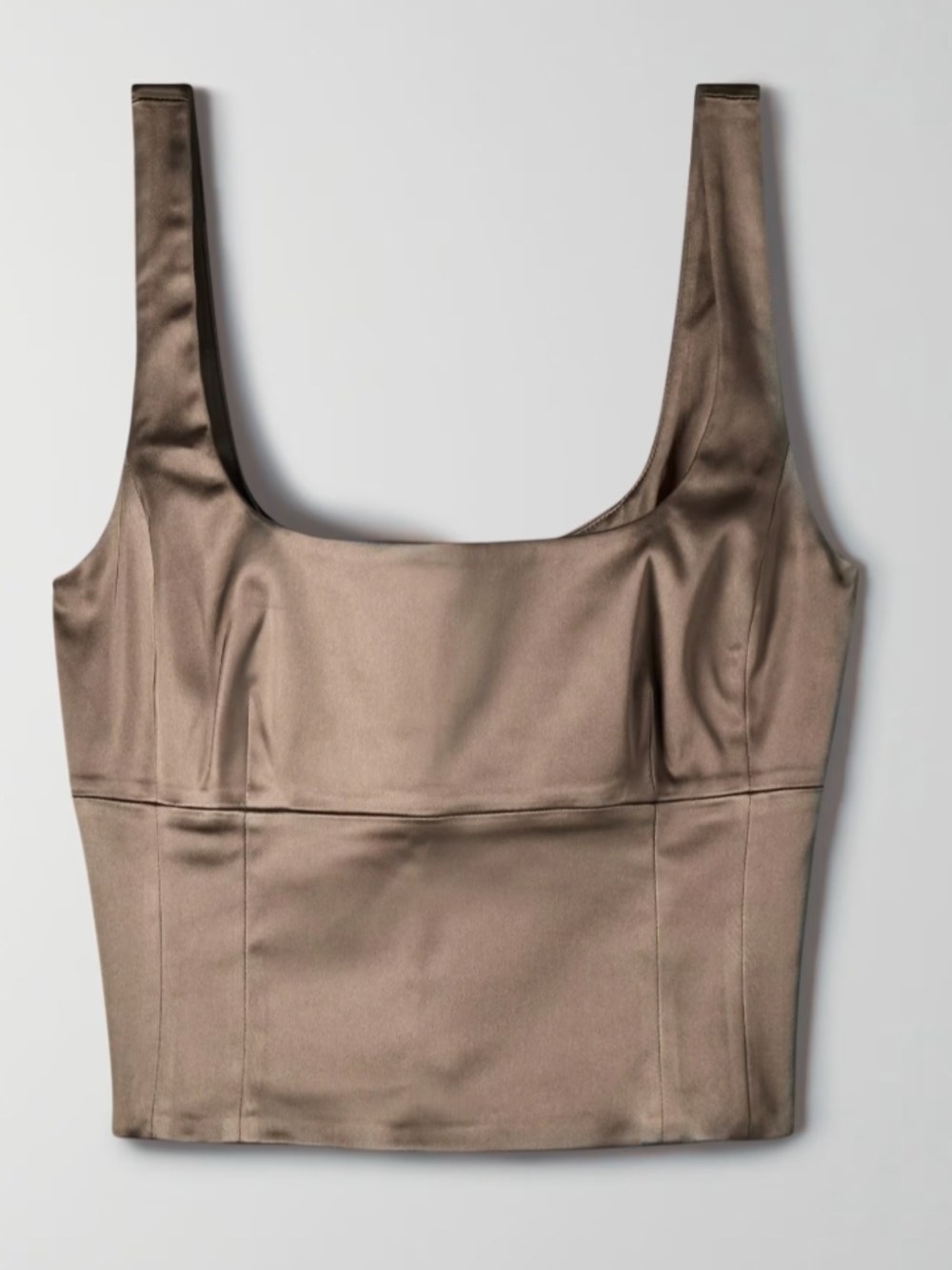 Aritzia Wilfred Shine Bustier